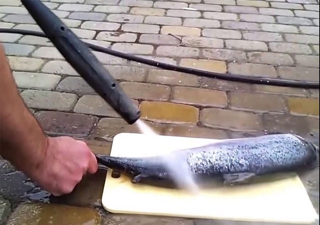 کارواش خانگی - پاک‌کردن فلس‌های ماهی