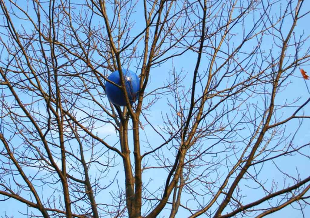 کارواش خانگی - پایین انداختن توپ بالای درخت